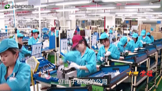 創(chuàng)業(yè)是一條無比艱辛的路，創(chuàng)新更是無限風光在險峰。在男性為主導的商海里，女性創(chuàng)業(yè)創(chuàng)新需要鼓足十萬分的勇氣和力量，是挑戰(zhàn)未來成功的小概率事件。而十堰姑娘楊麗便是這小概率事件中的一個傳奇，也是女性創(chuàng)業(yè)創(chuàng)新的榜樣。今天就來認識這位傳奇女性-興千田集團楊麗。